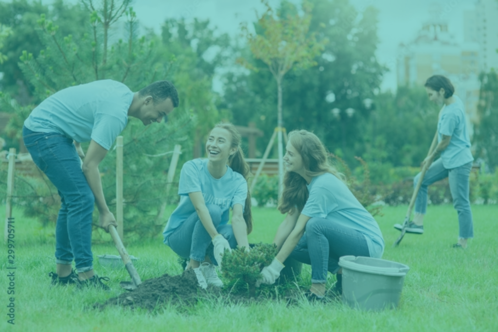 community-engagement-stratagemconsultancy